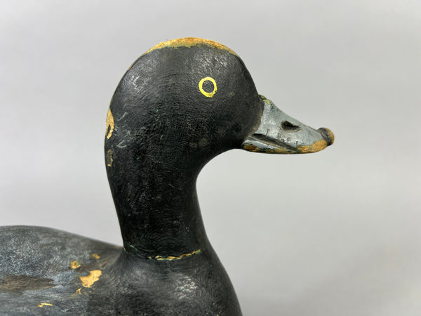 Hector Desmarais High Headed Blue Bill (#5289)