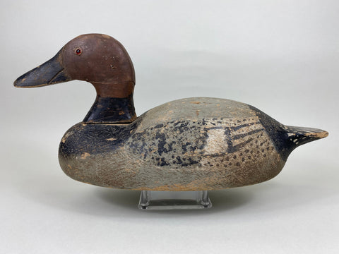 Gus Nelow Canvasback Drake (#5636)