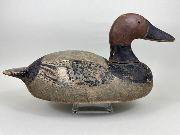 Gus Nelow Canvasback Drake (#5636)