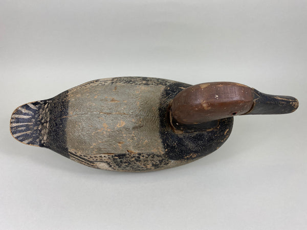 Gus Nelow Canvasback Drake (#5636)