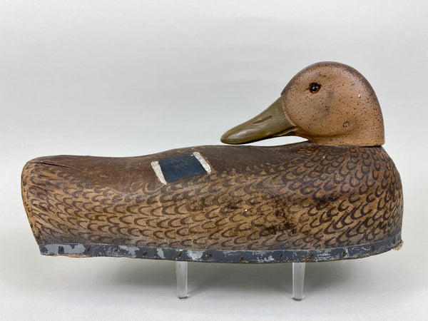 Rare Herter's Preening Mallard Hen (#5648)