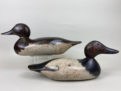 Mason Canvasback Rigmate Pair, Original Paint (#5654)