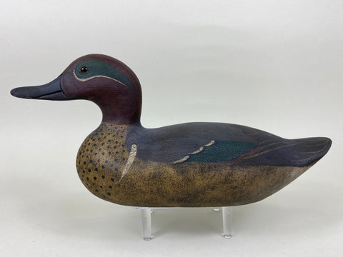 Mason Style Green Wing Teal by Patrick Kane (#5657)