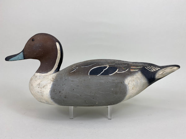 Herter's 1893 Series Pintail Drake (#5675)
