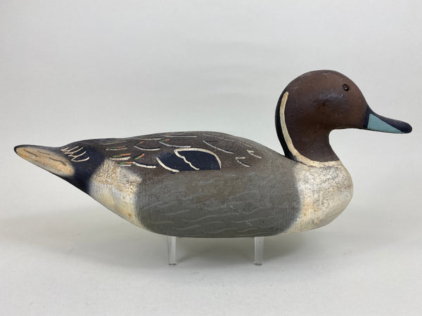 Herter's 1893 Series Pintail Drake (#5675)