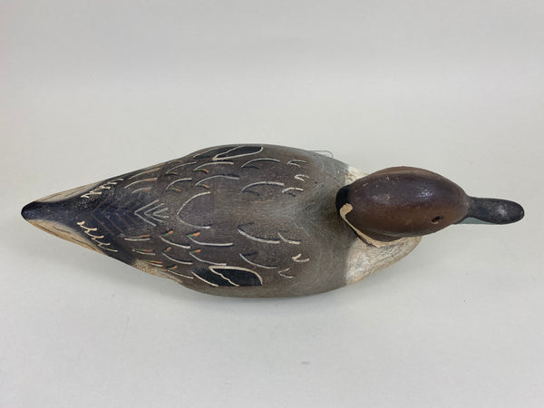 Herter's 1893 Series Pintail Drake (#5675)