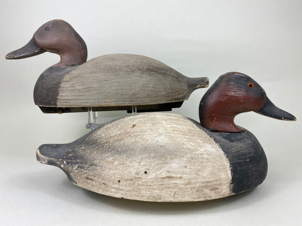 Wildfowler Old Saybrook Rigmate Pair of Canvasbacks (#5694)