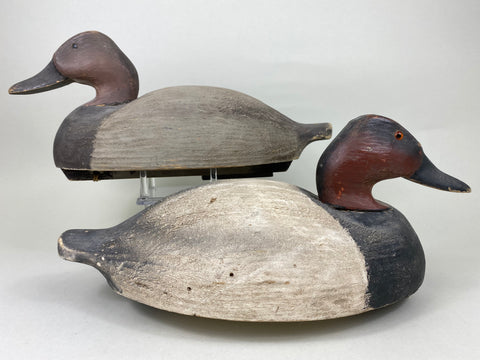 Wildfowler Old Saybrook Rigmate Pair of Canvasbacks (#5694)