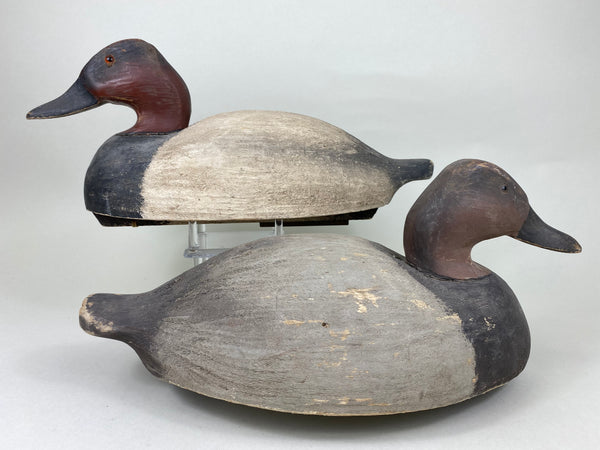Wildfowler Old Saybrook Rigmate Pair of Canvasbacks (#5694)