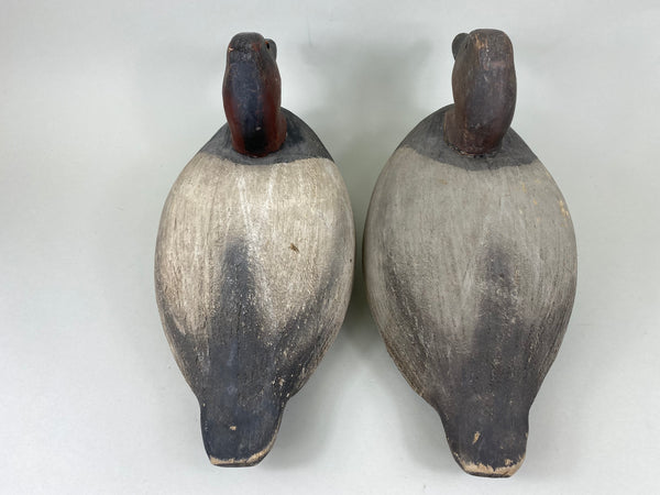 Wildfowler Old Saybrook Rigmate Pair of Canvasbacks (#5694)