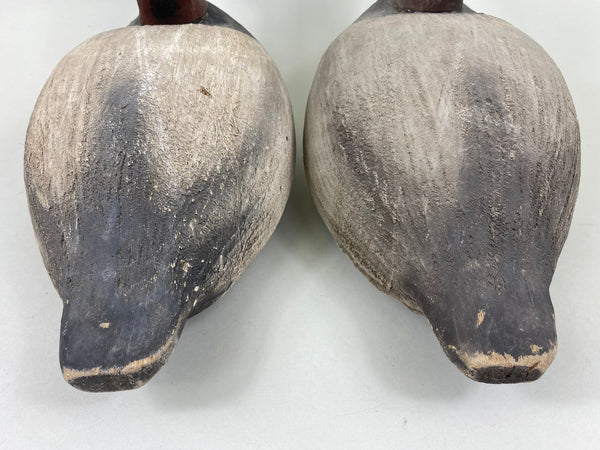 Wildfowler Old Saybrook Rigmate Pair of Canvasbacks (#5694)