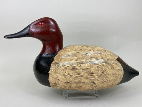 Donna Tonelli Canvasback Drake (#5718)