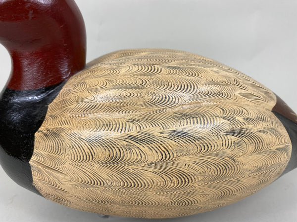 Donna Tonelli Canvasback Drake (#5718)