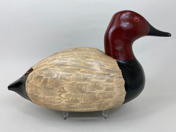 Donna Tonelli Canvasback Drake (#5718)