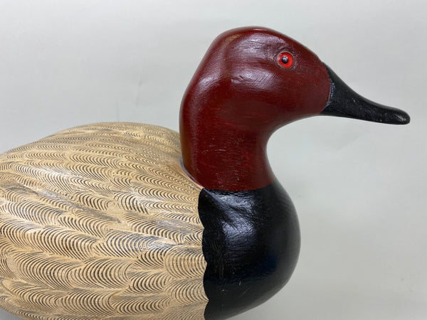 Donna Tonelli Canvasback Drake (#5718)