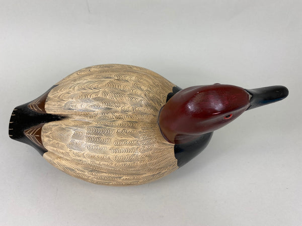 Donna Tonelli Canvasback Drake (#5718)