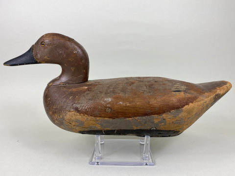 Havre de Grace Early Canvasback Hen, Circa 1930's (#5727)