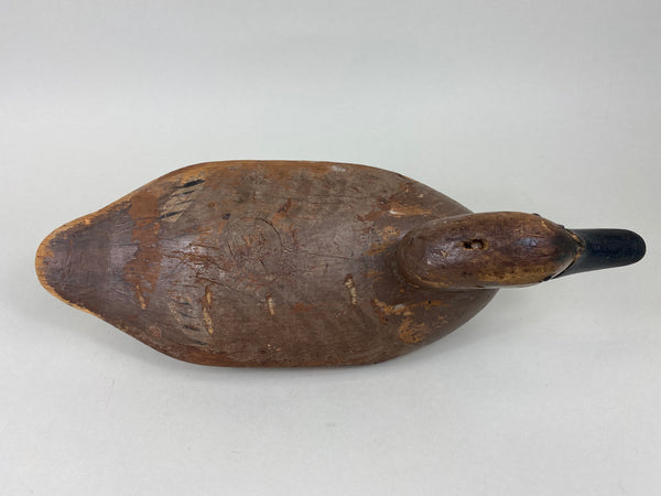 Havre de Grace Early Canvasback Hen, Circa 1930's (#5727)