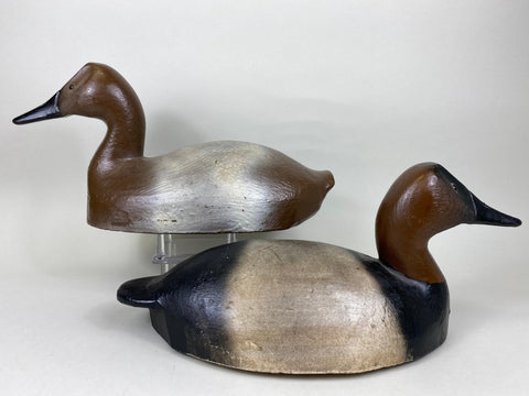 John Beverly Pair ofCanvasbacks (#5733)
