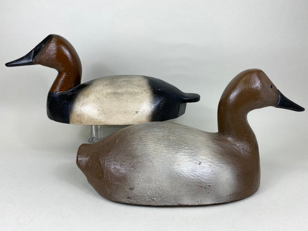 John Beverly Pair ofCanvasbacks (#5733)