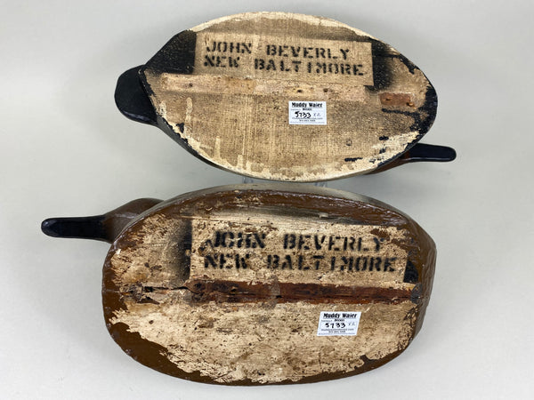 John Beverly Pair ofCanvasbacks (#5733)