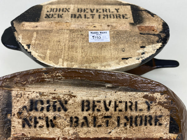 John Beverly Pair ofCanvasbacks (#5733)