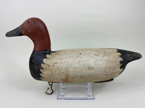 Rare Roy Hancock Canvasback Drake (#5747)