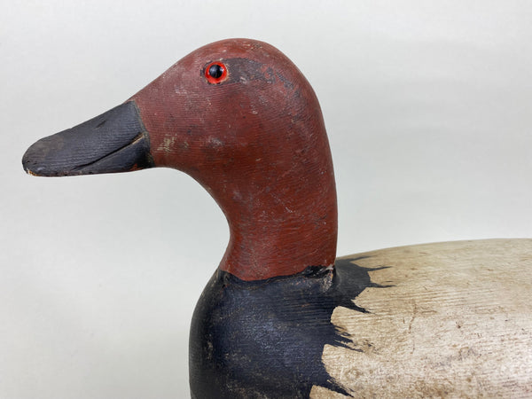 Rare Roy Hancock Canvasback Drake (#5747)