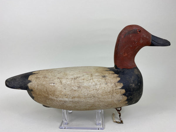 Rare Roy Hancock Canvasback Drake (#5747)