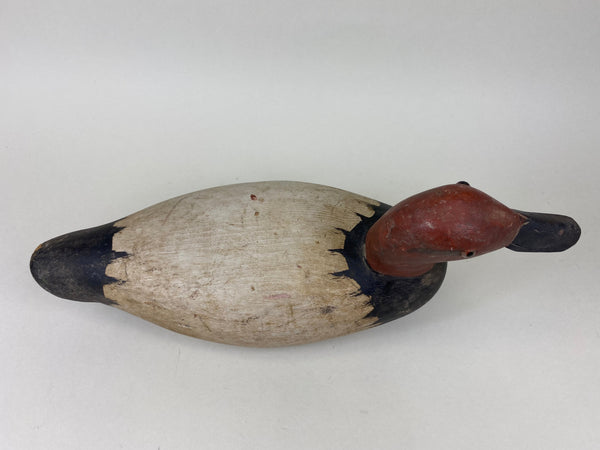 Rare Roy Hancock Canvasback Drake (#5747)