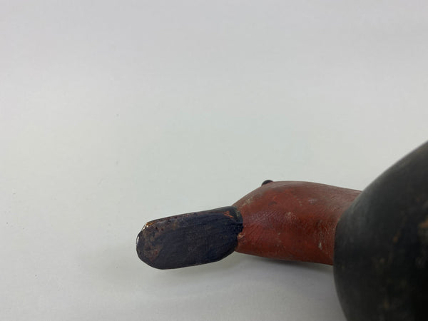 Rare Roy Hancock Canvasback Drake (#5747)