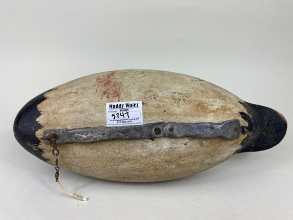 Rare Roy Hancock Canvasback Drake (#5747)