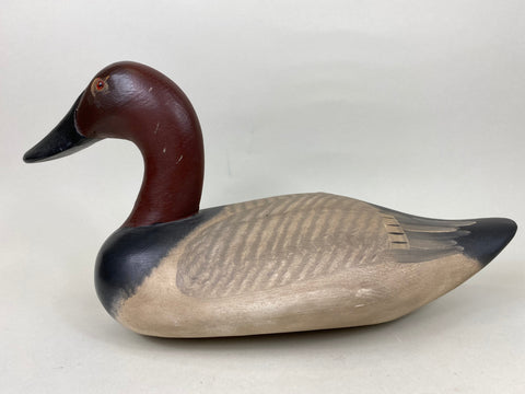 Captain Harry Jobes High Headed Canvasback (#5765)
