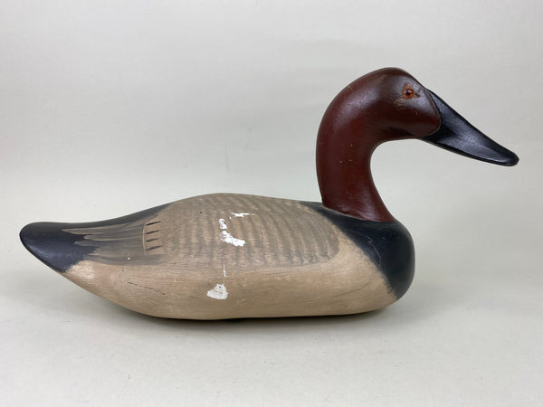 Captain Harry Jobes High Headed Canvasback (#5765)