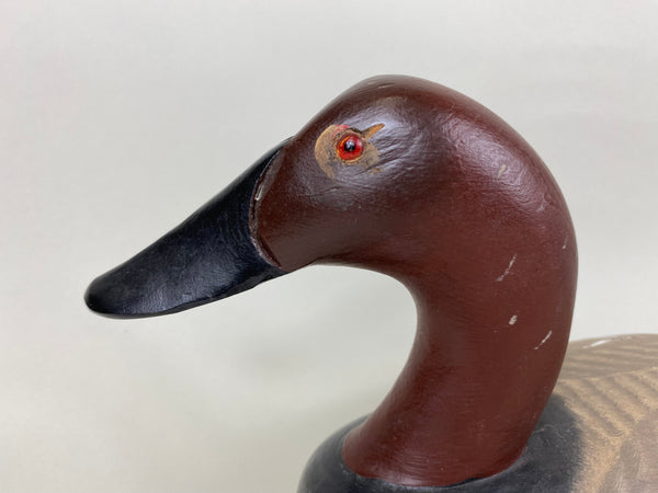 Captain Harry Jobes High Headed Canvasback (#5765)