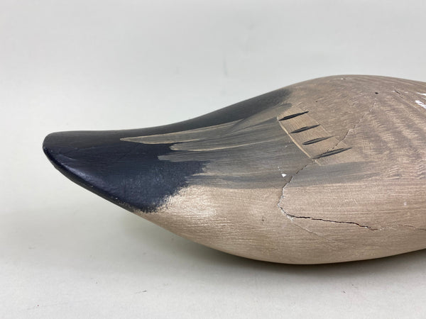 Captain Harry Jobes High Headed Canvasback (#5765)