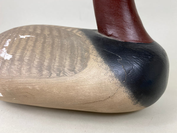 Captain Harry Jobes High Headed Canvasback (#5765)