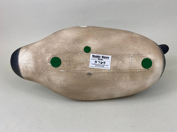 Captain Harry Jobes High Headed Canvasback (#5765)