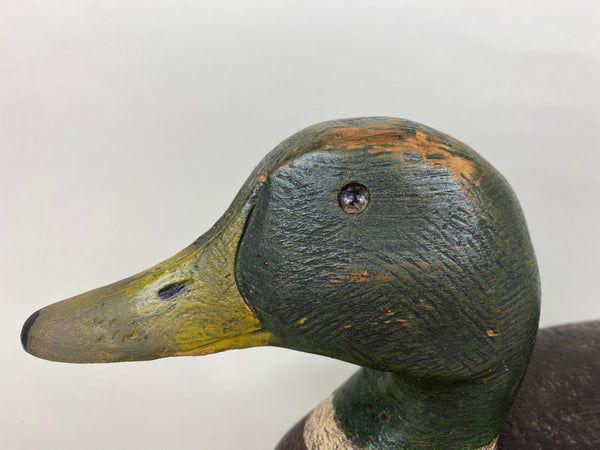 Frank Schmidt Mallard Drake (#5773)