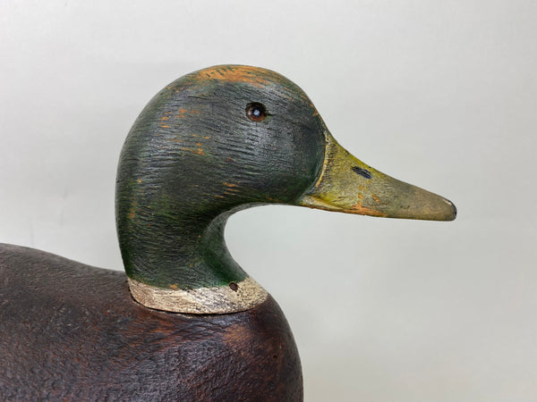 Frank Schmidt Mallard Drake (#5773)