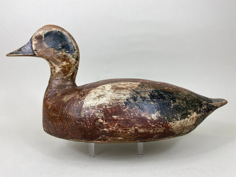 Toronto Widgeon Drake with Unique Bottom Board (#5780)