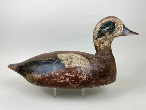 Toronto Widgeon Drake with Unique Bottom Board (#5780)