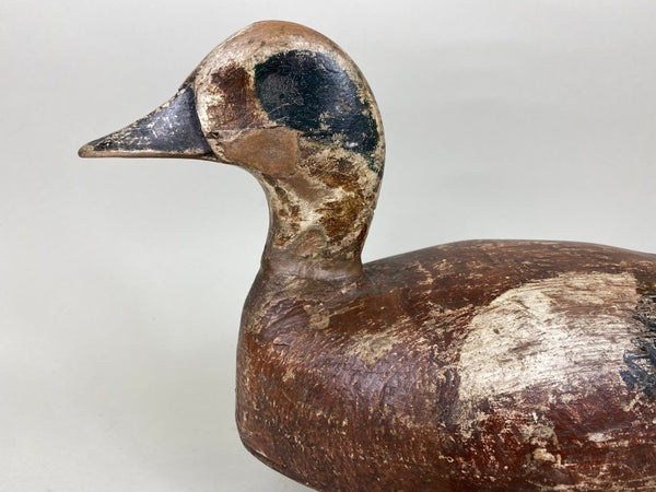 Toronto Widgeon Drake with Unique Bottom Board (#5780)