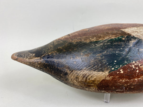 Toronto Widgeon Drake with Unique Bottom Board (#5780)