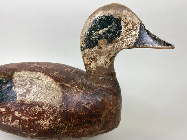 Toronto Widgeon Drake with Unique Bottom Board (#5780)