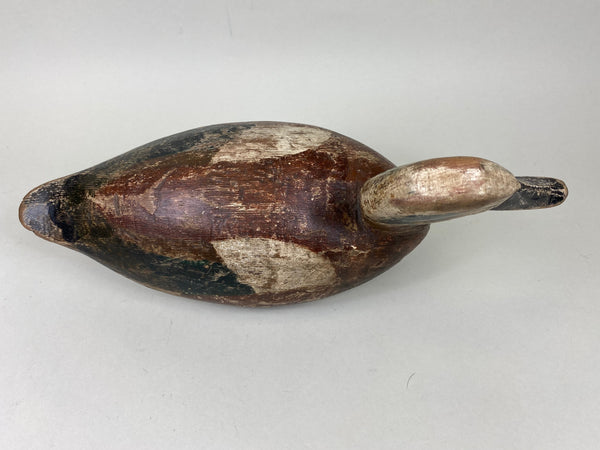 Toronto Widgeon Drake with Unique Bottom Board (#5780)