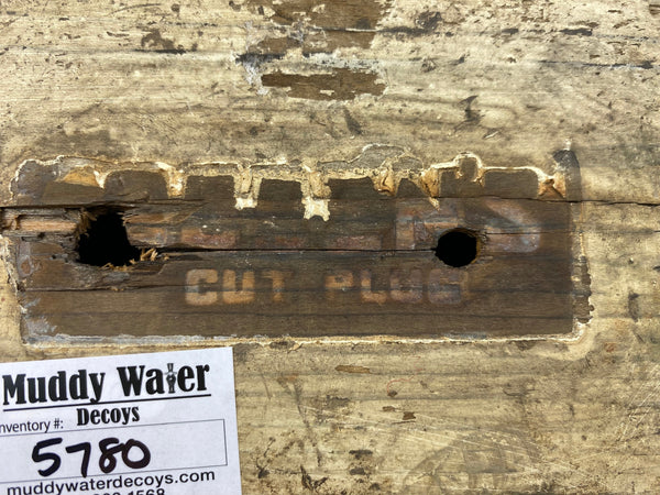 Toronto Widgeon Drake with Unique Bottom Board (#5780)