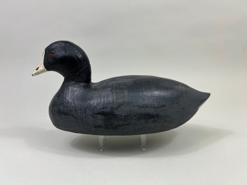 Herters 1893 Series Coot Branded (#2934)