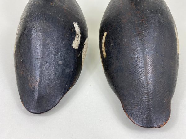 Pair of Hooded Mergansers, St. Clair Flats, Circa 1920's (#5837)