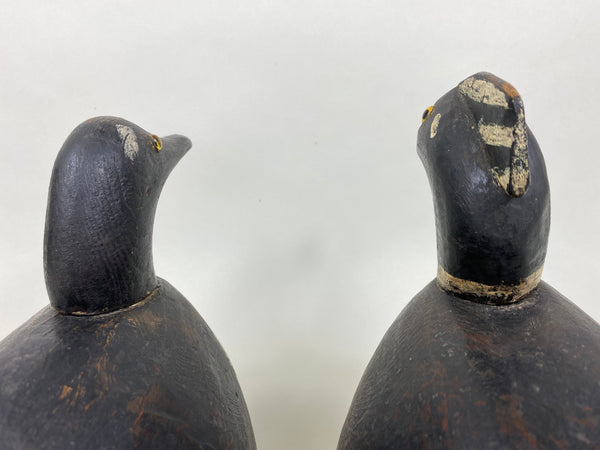 Pair of Hooded Mergansers, St. Clair Flats, Circa 1920's (#5837)